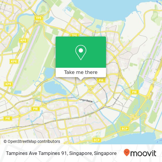 Tampines Ave Tampines 91, Singapore map