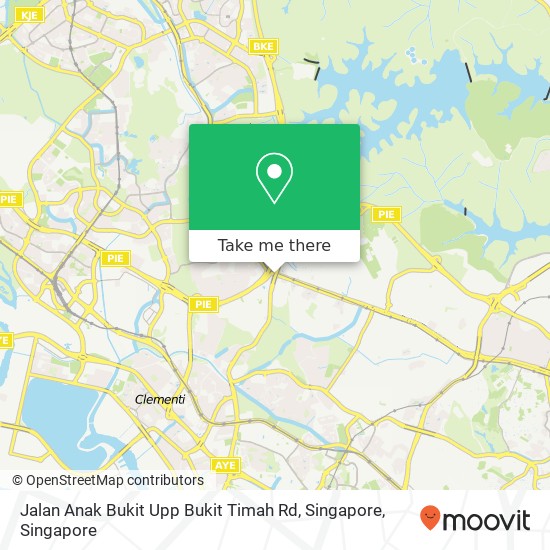 Jalan Anak Bukit Upp Bukit Timah Rd, Singapore地图