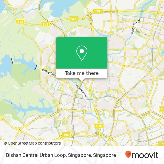 Bishan Central Urban Loop, Singapore地图