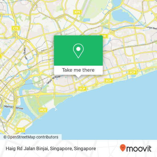 Haig Rd Jalan Binjai, Singapore map