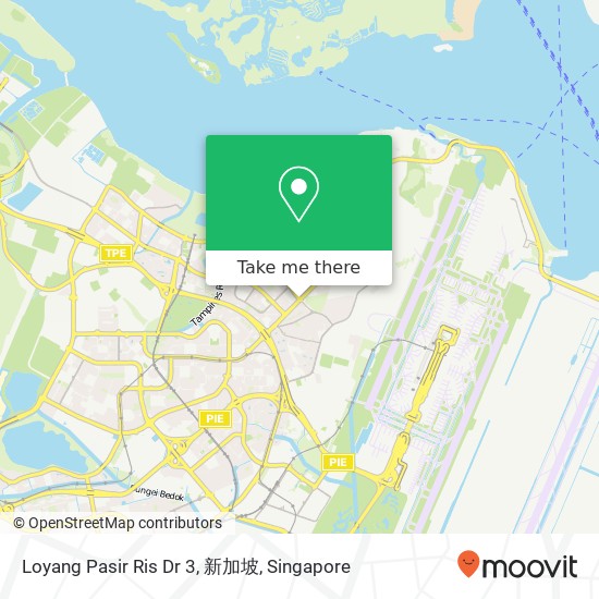 Loyang Pasir Ris Dr 3, 新加坡地图