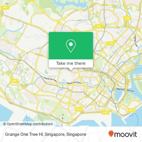 Grange One Tree Hl, Singapore地图