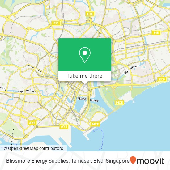 Blissmore Energy Supplies, Temasek Blvd map