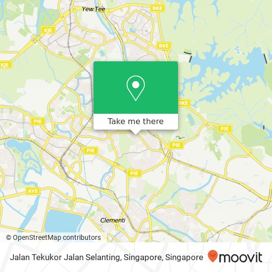 Jalan Tekukor Jalan Selanting, Singapore地图