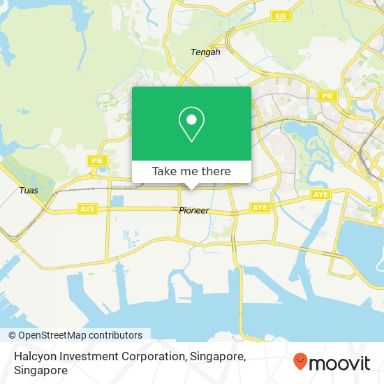 Halcyon Investment Corporation, Singapore map