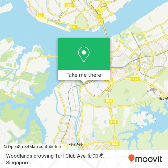 Woodlands crossing Turf Club Ave, 新加坡地图