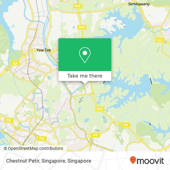 Chestnut Petir, Singapore地图