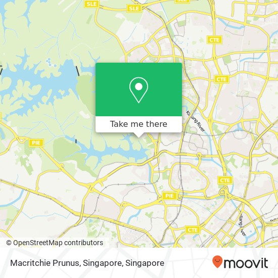 Macritchie Prunus, Singapore map