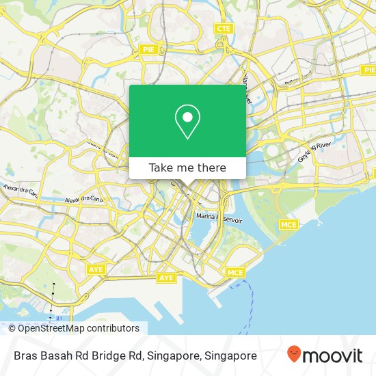 Bras Basah Rd Bridge Rd, Singapore map