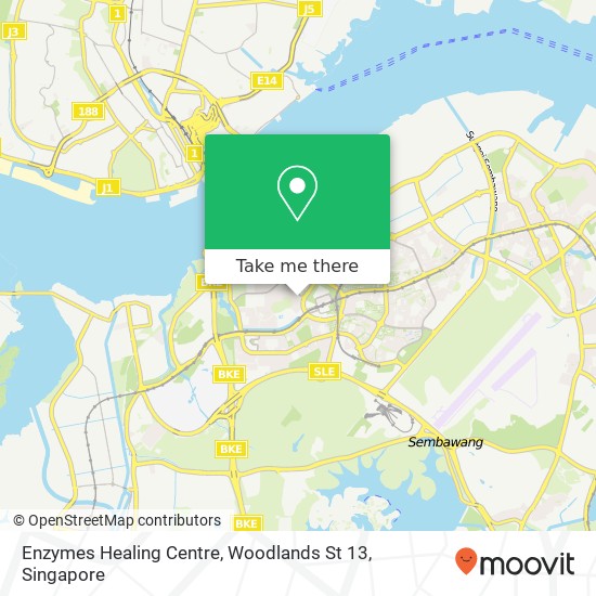 Enzymes Healing Centre, Woodlands St 13 map