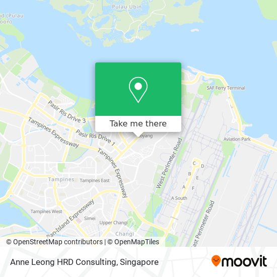 Anne Leong HRD Consulting地图