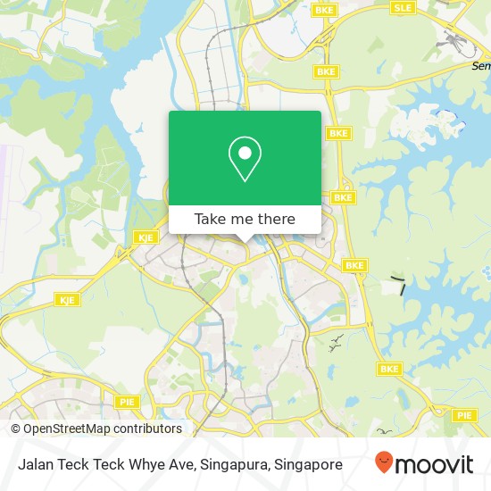 Jalan Teck Teck Whye Ave, Singapura地图