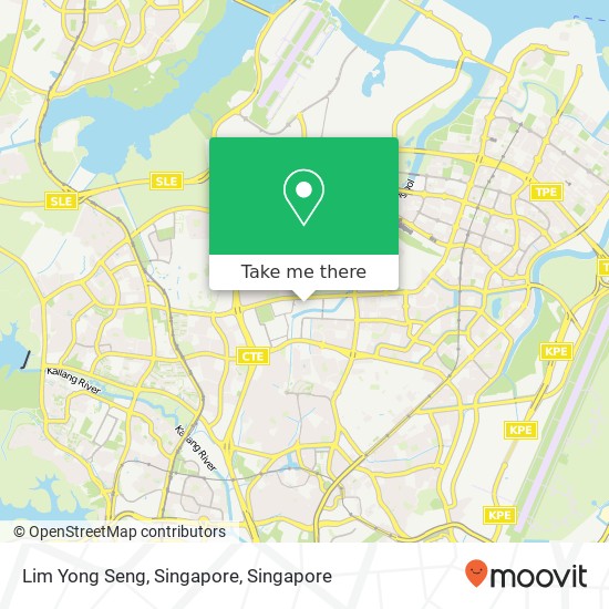 Lim Yong Seng, Singapore map