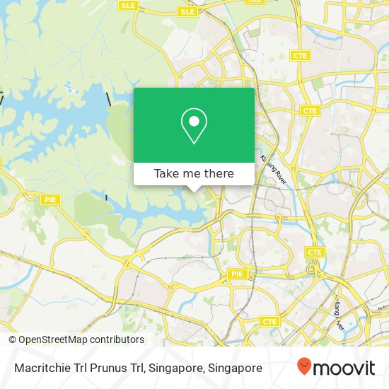 Macritchie Trl Prunus Trl, Singapore map