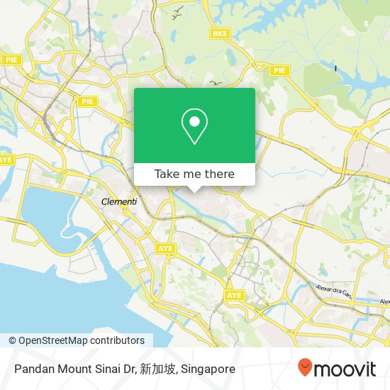 Pandan Mount Sinai Dr, 新加坡 map