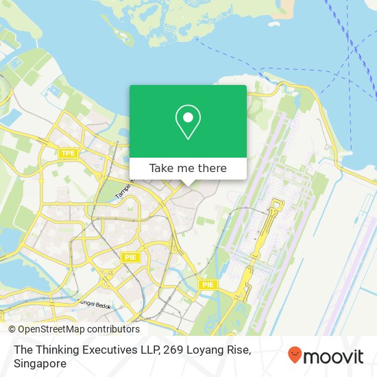 The Thinking Executives LLP, 269 Loyang Rise map