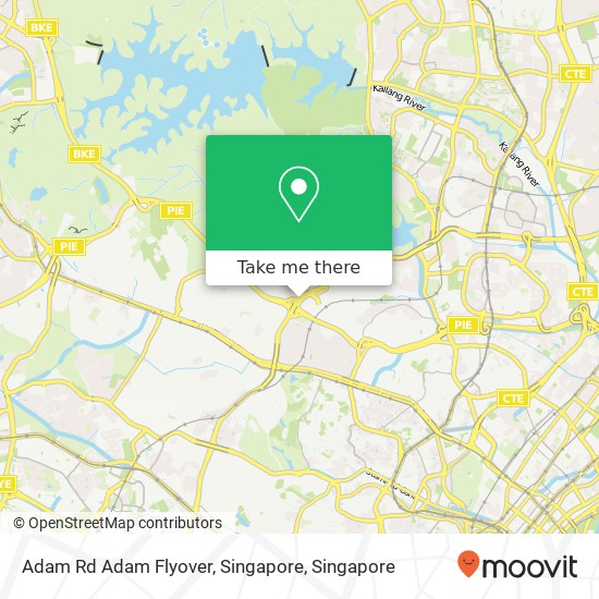 Adam Rd Adam Flyover, Singapore地图