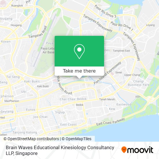 Brain Waves Educational Kinesiology Consultancy LLP地图