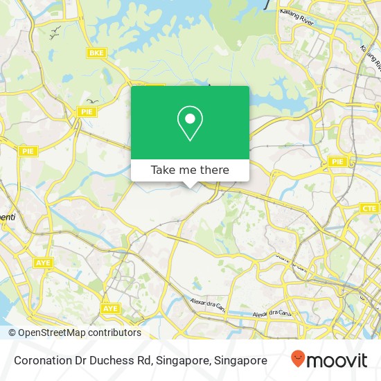 Coronation Dr Duchess Rd, Singapore map