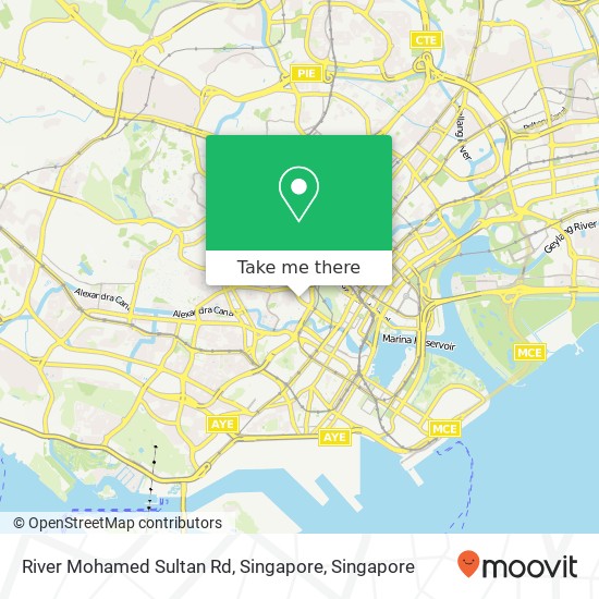 River Mohamed Sultan Rd, Singapore map