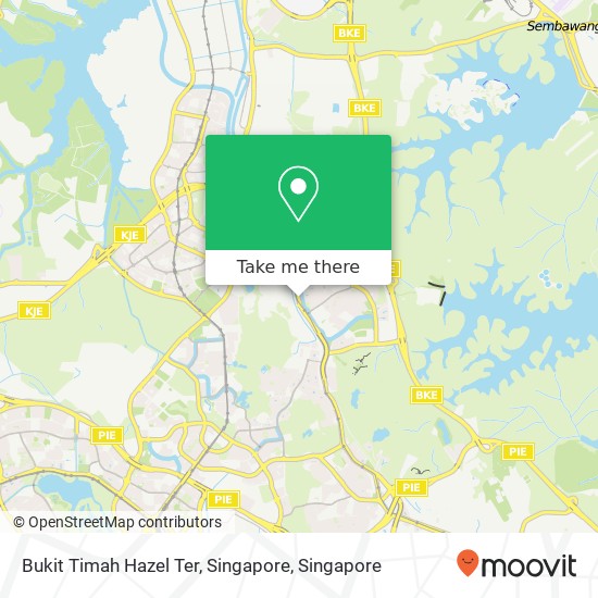 Bukit Timah Hazel Ter, Singapore地图