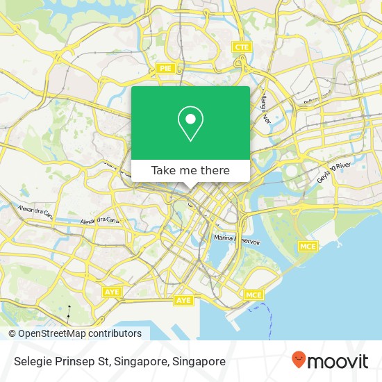 Selegie Prinsep St, Singapore map