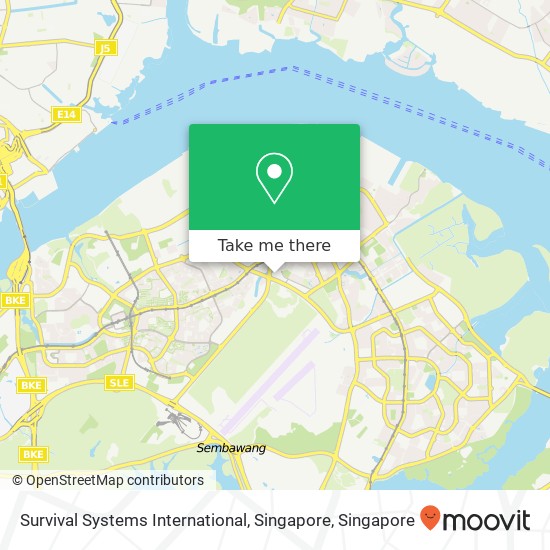 Survival Systems International, Singapore map