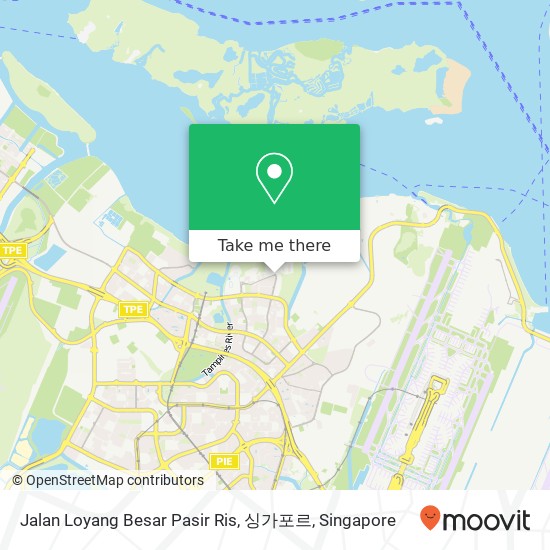 Jalan Loyang Besar Pasir Ris, 싱가포르地图