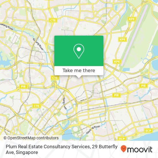 Plum Real Estate Consultancy Services, 29 Butterfly Ave地图