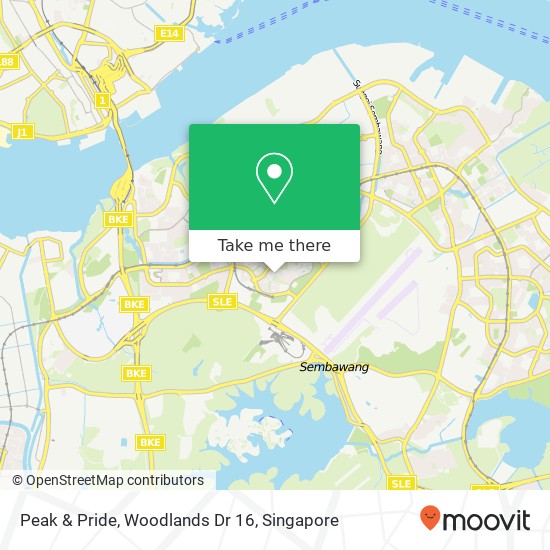 Peak & Pride, Woodlands Dr 16地图