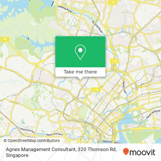 Agnes Management Consultant, 320 Thomson Rd map