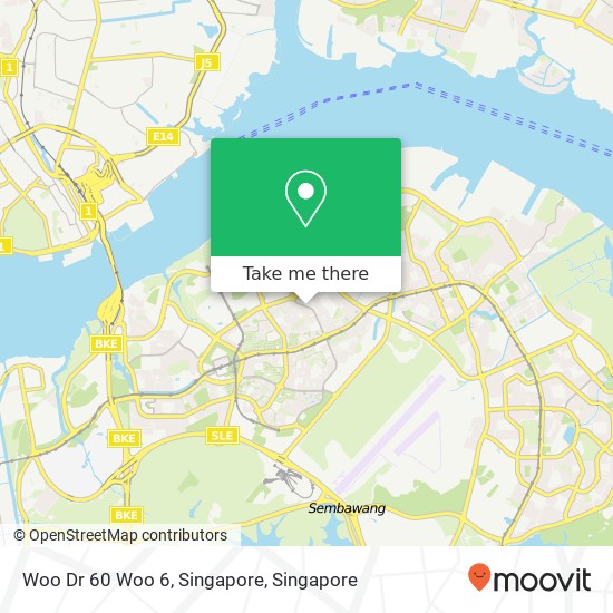 Woo Dr 60 Woo 6, Singapore地图