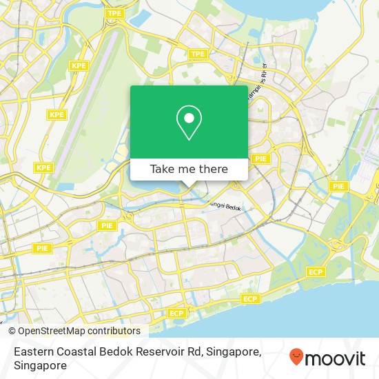 Eastern Coastal Bedok Reservoir Rd, Singapore地图