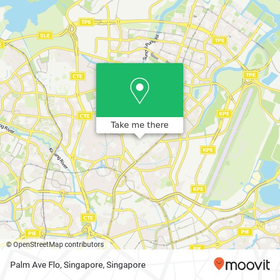 Palm Ave Flo, Singapore地图