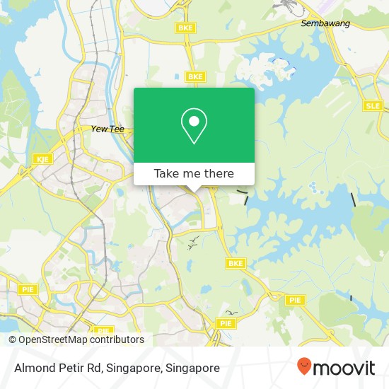 Almond Petir Rd, Singapore地图