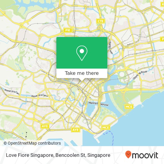 Love Fiore Singapore, Bencoolen St地图