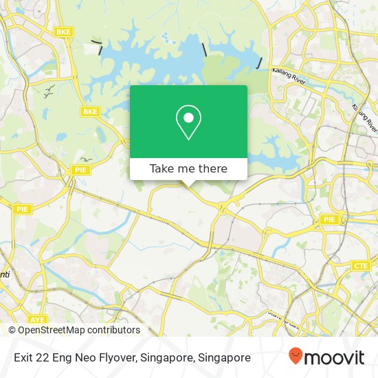 Exit 22 Eng Neo Flyover, Singapore map