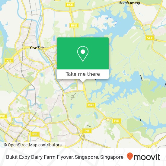 Bukit Expy Dairy Farm Flyover, Singapore地图