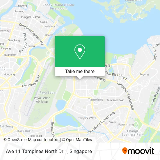 Ave 11 Tampines North Dr 1地图