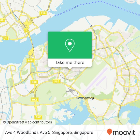 Ave 4 Woodlands Ave 5, Singapore地图