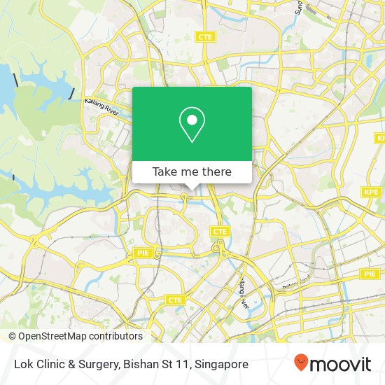 Lok Clinic & Surgery, Bishan St 11地图