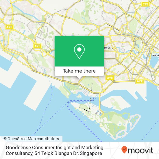 Goodsense Consumer Insight and Marketing Consultancy, 54 Telok Blangah Dr地图