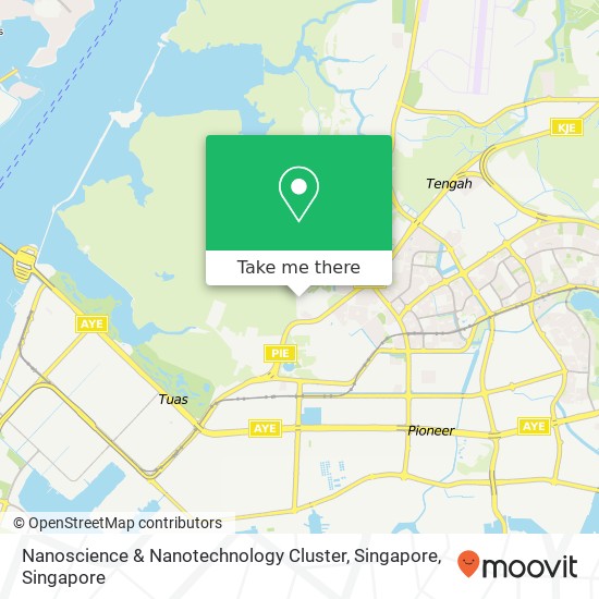 Nanoscience & Nanotechnology Cluster, Singapore map