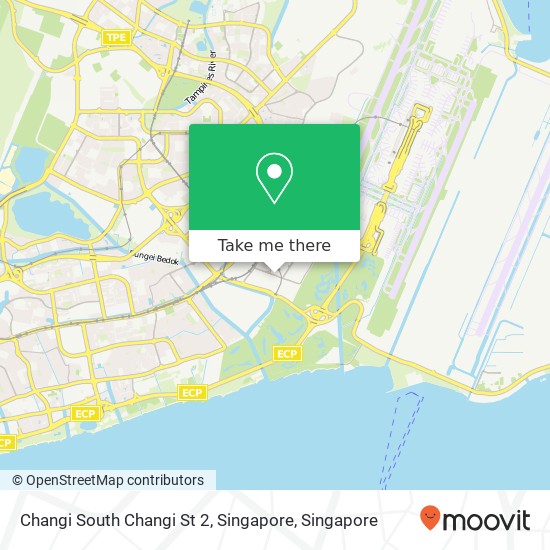 Changi South Changi St 2, Singapore map