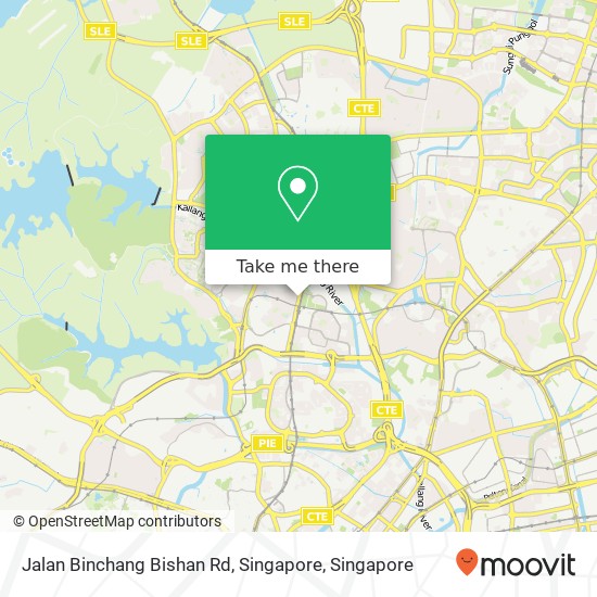 Jalan Binchang Bishan Rd, Singapore地图