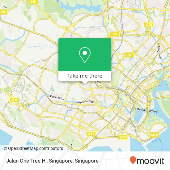 Jalan One Tree Hl, Singapore map