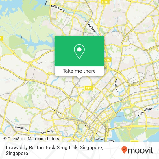 Irrawaddy Rd Tan Tock Seng Link, Singapore map