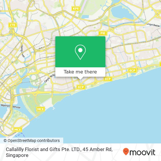 Callalilly Florist and Gifts Pte. LTD., 45 Amber Rd map