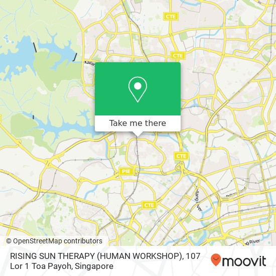 RISING SUN THERAPY (HUMAN WORKSHOP), 107 Lor 1 Toa Payoh map