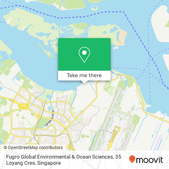 Fugro Global Environmental & Ocean Sciences, 35 Loyang Cres地图